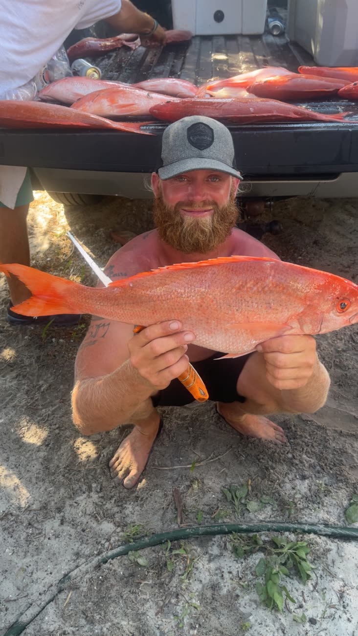 Trophy vermilion snapper (beeliner)